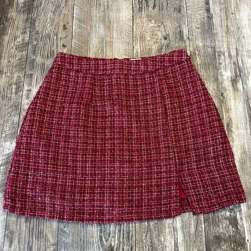 Francesca's Mini Skirt